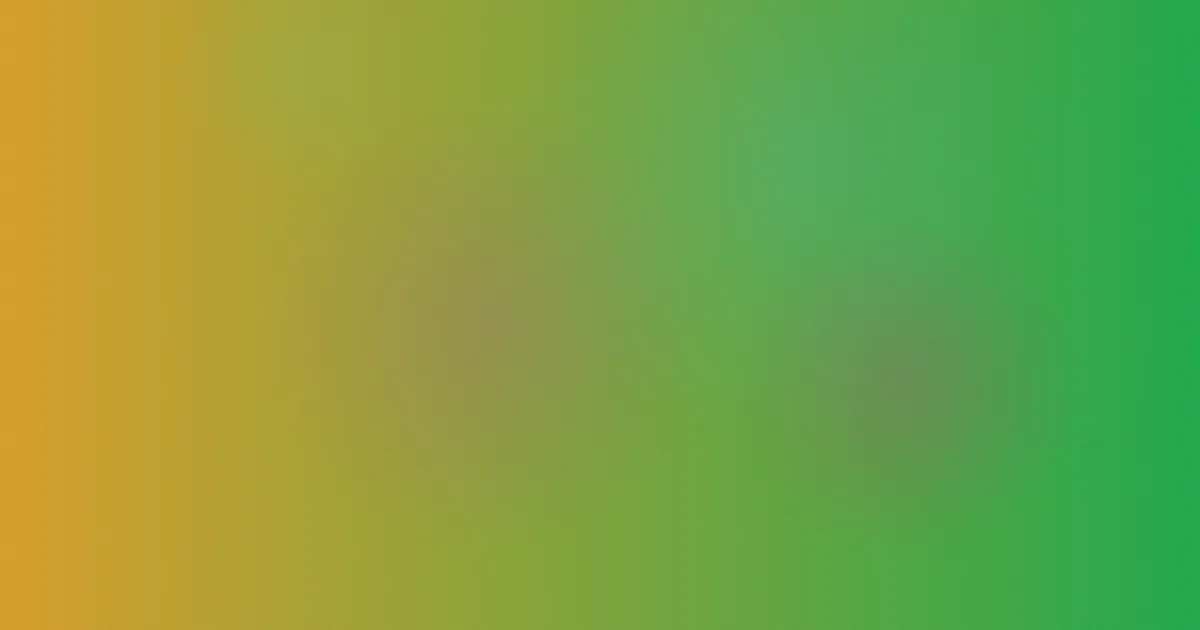 美女被测评避坑流程